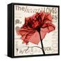 Red Rose Love-Albert Koetsier-Framed Stretched Canvas