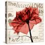 Red Rose Love-Albert Koetsier-Stretched Canvas