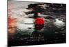 Red Rose (Rain, Puddle) Art Poster Print-null-Mounted Poster