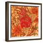 Red Rose Square-Julie Goonan-Framed Giclee Print