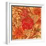 Red Rose Square-Julie Goonan-Framed Giclee Print