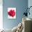 Red Rose. Watercolor-Pacrovka-Photographic Print displayed on a wall