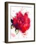 Red Rose. Watercolor-Pacrovka-Framed Photographic Print