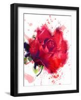 Red Rose. Watercolor-Pacrovka-Framed Photographic Print