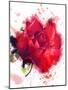 Red Rose. Watercolor-Pacrovka-Mounted Photographic Print