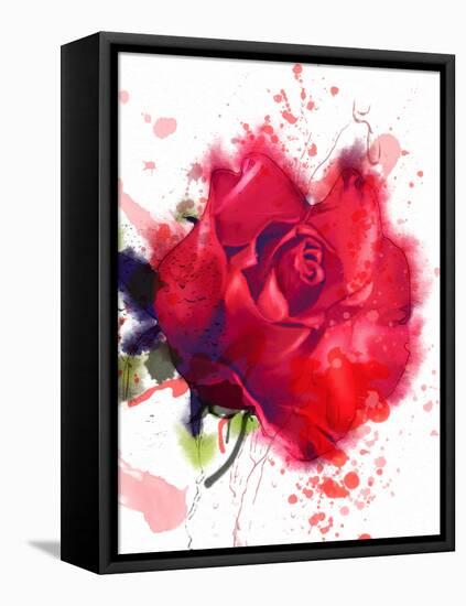 Red Rose. Watercolor-Pacrovka-Framed Stretched Canvas