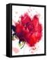 Red Rose. Watercolor-Pacrovka-Framed Stretched Canvas