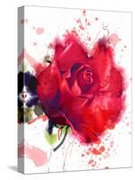 Red Rose. Watercolor-Pacrovka-Stretched Canvas