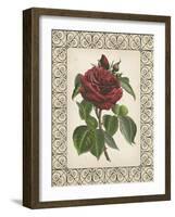 Red Rose with Wrought Iron Border I-null-Framed Art Print