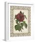 Red Rose with Wrought Iron Border I-null-Framed Art Print