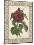 Red Rose with Wrought Iron Border I-null-Mounted Art Print