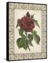 Red Rose with Wrought Iron Border I-null-Framed Stretched Canvas