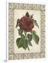 Red Rose with Wrought Iron Border I-null-Framed Art Print