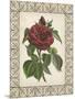 Red Rose with Wrought Iron Border I-null-Mounted Art Print