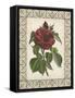 Red Rose with Wrought Iron Border I-null-Framed Stretched Canvas