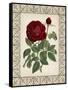 Red Rose with Wrought Iron BorderII-null-Framed Stretched Canvas