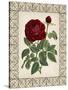 Red Rose with Wrought Iron BorderII-null-Stretched Canvas