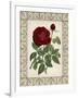 Red Rose with Wrought Iron BorderII-null-Framed Art Print