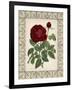 Red Rose with Wrought Iron BorderII-null-Framed Art Print