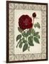 Red Rose with Wrought Iron BorderII-null-Framed Art Print