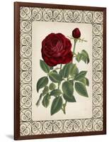 Red Rose with Wrought Iron BorderII-null-Framed Art Print