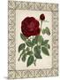 Red Rose with Wrought Iron BorderII-null-Mounted Art Print