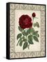 Red Rose with Wrought Iron BorderII-null-Framed Stretched Canvas