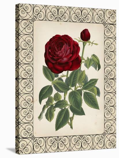 Red Rose with Wrought Iron BorderII-null-Stretched Canvas