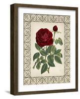 Red Rose with Wrought Iron BorderII-null-Framed Art Print