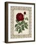 Red Rose with Wrought Iron BorderII-null-Framed Art Print