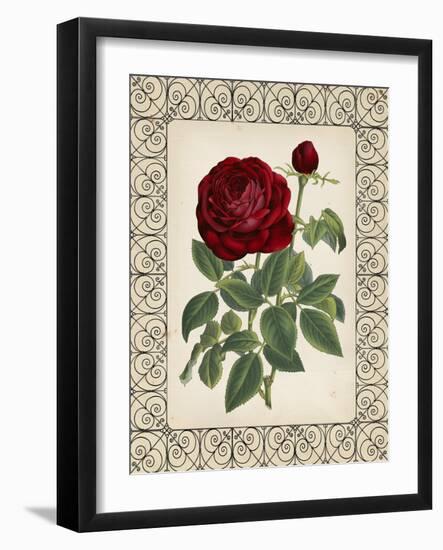 Red Rose with Wrought Iron BorderII-null-Framed Art Print