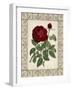 Red Rose with Wrought Iron BorderII-null-Framed Art Print