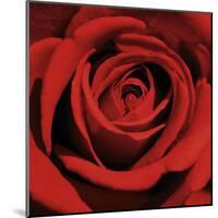 Red Rose-Laurent Pinsard-Mounted Art Print