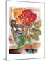 Red Rose-Joadoor-Mounted Premium Giclee Print