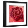 Red Rose-Anna Flores-Framed Art Print