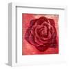 Red Rose-Anna Flores-Framed Art Print