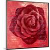 Red Rose-Anna Flores-Mounted Art Print