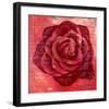 Red Rose-Anna Flores-Framed Art Print