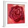 Red Rose-Anna Flores-Framed Art Print