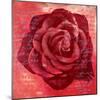 Red Rose-Anna Flores-Mounted Art Print