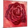 Red Rose-Anna Flores-Mounted Art Print