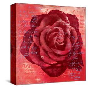 Red Rose-Anna Flores-Stretched Canvas