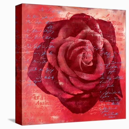 Red Rose-Anna Flores-Stretched Canvas