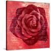 Red Rose-Anna Flores-Stretched Canvas