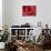 Red Rose-Michele Falzone-Mounted Photographic Print displayed on a wall