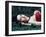 Red Rose-Dimitri Caceaune-Framed Premium Photographic Print