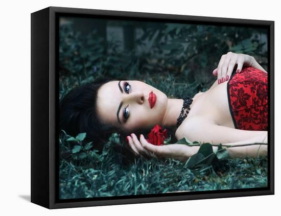 Red Rose-Dimitri Caceaune-Framed Stretched Canvas