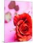 Red rose-null-Mounted Photographic Print