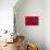 Red Rose-null-Mounted Photographic Print displayed on a wall