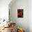 Red Rose-George Johnson-Mounted Photographic Print displayed on a wall